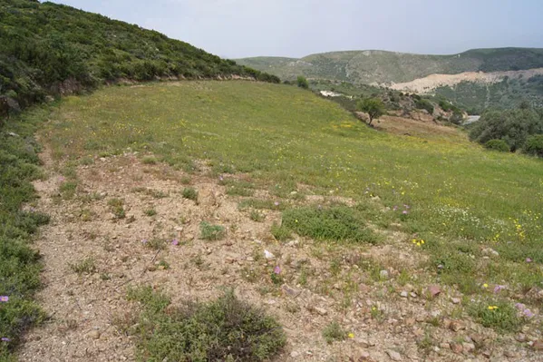 Seafront 5,514 m² Plot for Sale in Charkia, Rethymnon — photo 4
