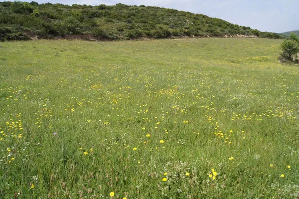 Seafront 5,514 m² Plot for Sale in Charkia, Rethymnon — photo 3