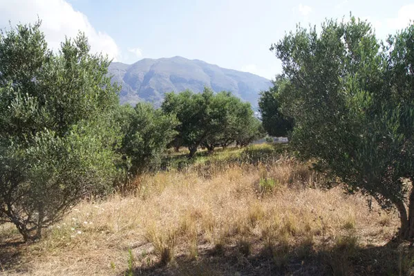 Seafront 4,448 m² Plot of Land for Sale in Lefkogia, Agios Vassilios — photo 5
