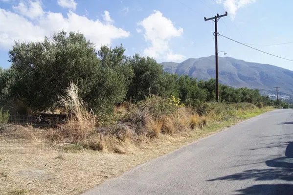 Seafront 4,448 m² Plot of Land for Sale in Lefkogia, Agios Vassilios — photo 2