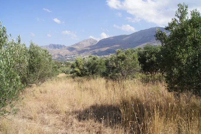 Seafront 4,448 m² Plot of Land for Sale in Lefkogia, Agios Vassilios