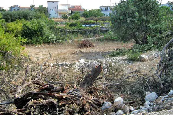 Seafront 350 m² Land for Sale in Choumeri, Mylopotamos — photo 3