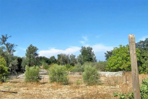 Seafront 350 m² Land for Sale in Choumeri, Mylopotamos