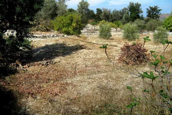 Seafront 350 m² Land for Sale in Choumeri, Mylopotamos — photo 4