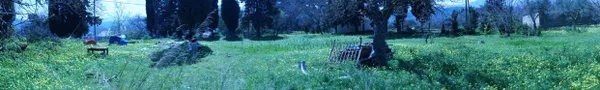 Seafront 2,125 m² Plot for Sale in Kastellos, Apokoronas — photo 4