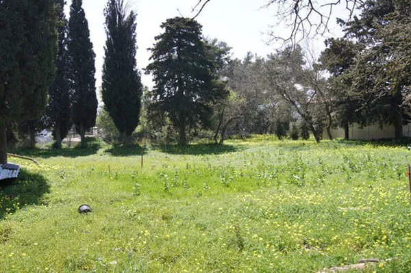 Seafront 2,125 m² Plot for Sale in Kastellos, Apokoronas — photo 5