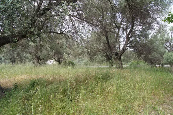 Seafront 1,125 m² Land for Sale in Kyrianna, Rethymnon — photo 4