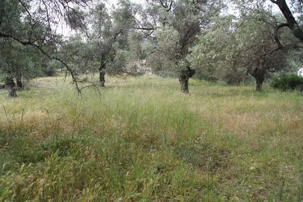 Seafront 1,125 m² Land for Sale in Kyrianna, Rethymnon — photo 2