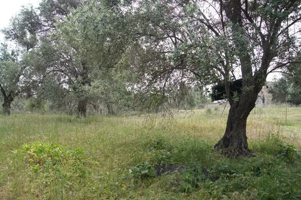 Seafront 1,125 m² Land for Sale in Kyrianna, Rethymnon — photo 3