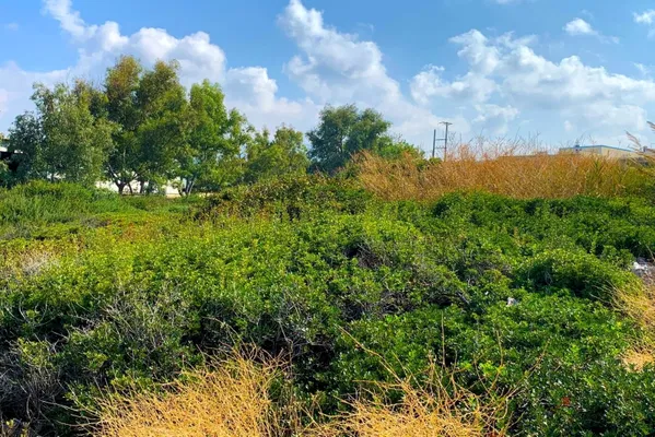 Sea-View 14,636 m² Plot for Sale in Rethymnon — photo 4