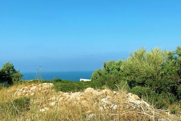 Sea-View 14,636 m² Plot for Sale in Rethymnon — photo 3